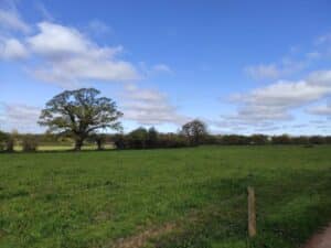 1000037380 - Mention Événement Espaces Événementiels et Volumes de Communication