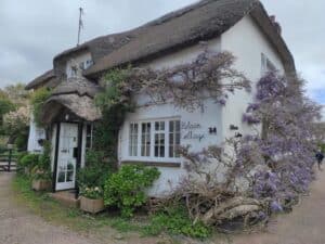 1000037408 - Mention Événement Espaces Événementiels et Volumes de Communication