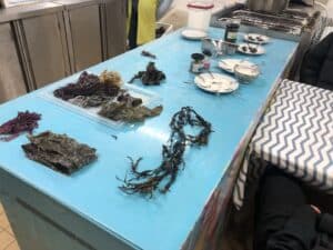 IMG 6289 - Mention Événement Espaces Événementiels et Volumes de Communication