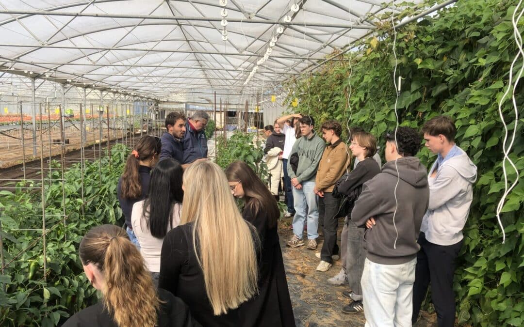 Visites professionnelles pour les étudiants de MAN