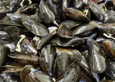 IMG 9616 - Mention Événement Espaces Événementiels et Volumes de Communication