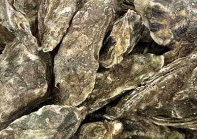 IMG 9617 - Mention Événement Espaces Événementiels et Volumes de Communication