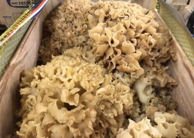 IMG 8211 - Mention Événement Espaces Événementiels et Volumes de Communication