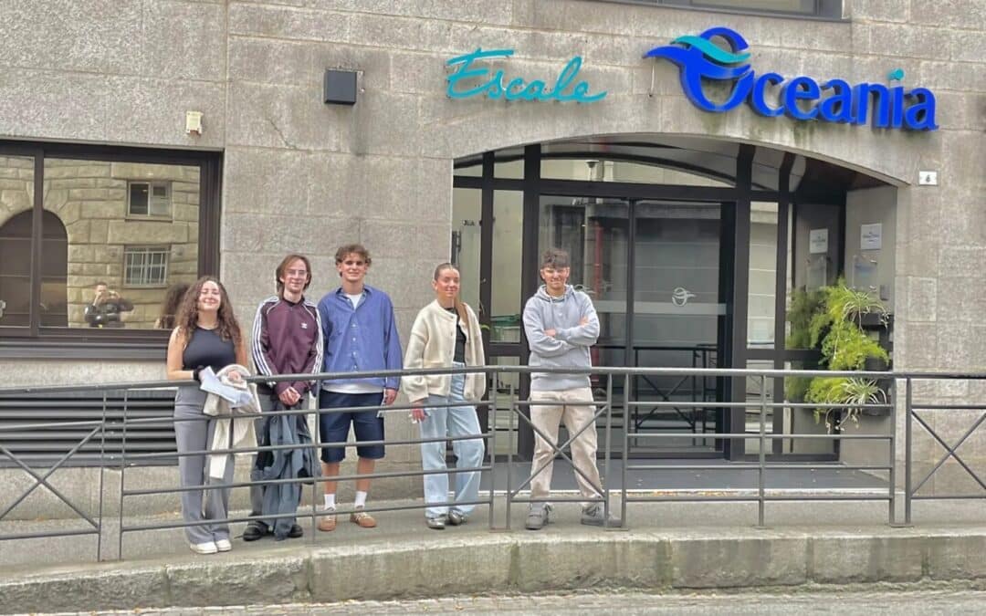 Découverte des offres de services hôteliers pour les MAN