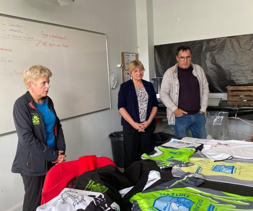 Gwengad, un projet graphique en DNMADE