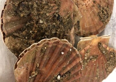 IMG 8980 - Mention Événement Espaces Événementiels et Volumes de Communication