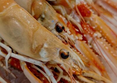 1000027680 - Paris : une journée au cœur de l’excellence hôtelière et gastronomique
