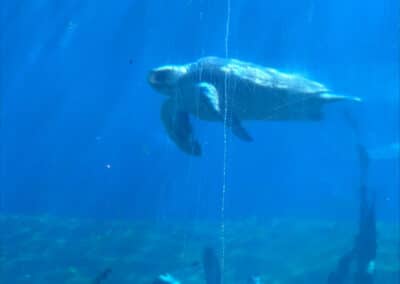 processed 7DB3C9BE 9C67 489F A75B 2C4E55CD83EA - Erasmus Valencia, le début de 3 semaines de stage pour nos terminales